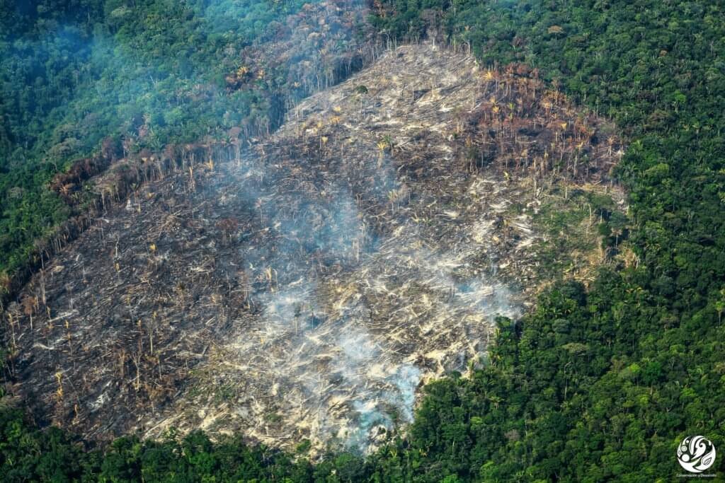Deforestación en la Amazonia colombiana