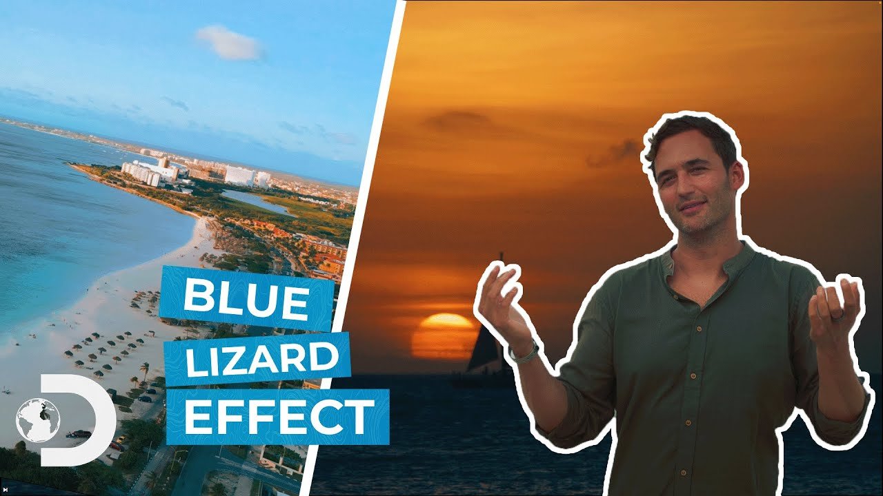 Blue Lizard Effect — Aire