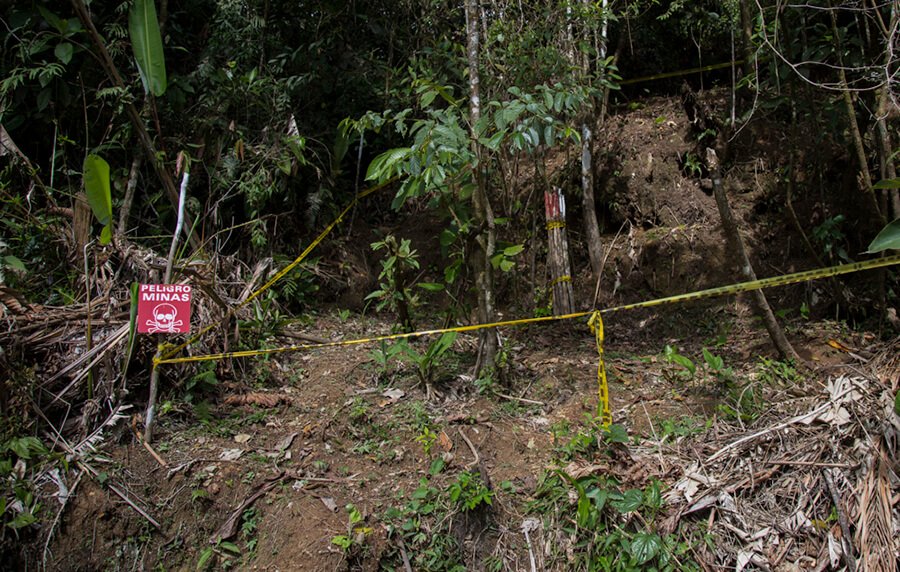 Diez datos para entender el reto de desminar a Colombia