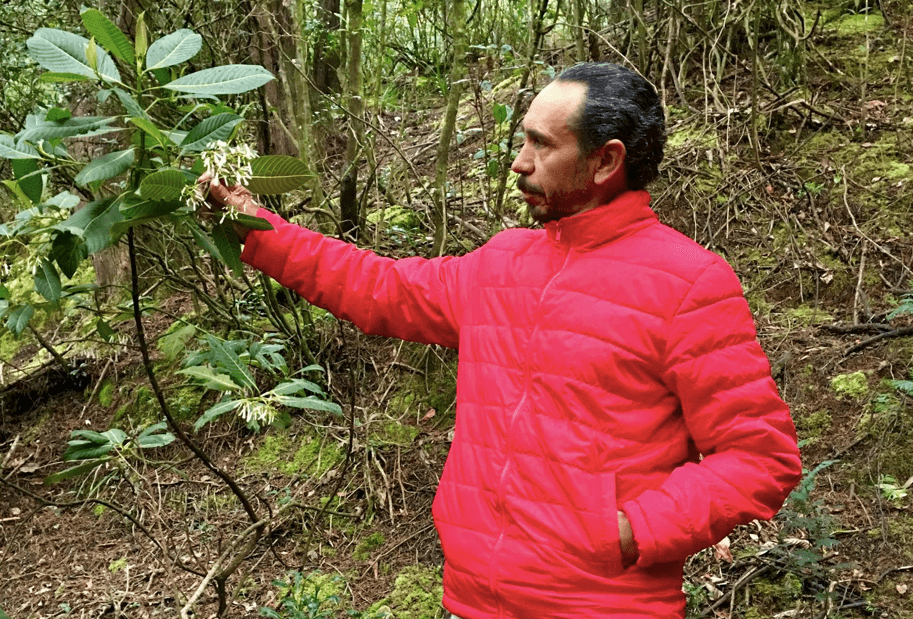 Bosques de Bellavista: el barrio de los cerros que se resiste a ser invisibilizado por Peñalosa