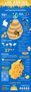 apicultura en Colombia