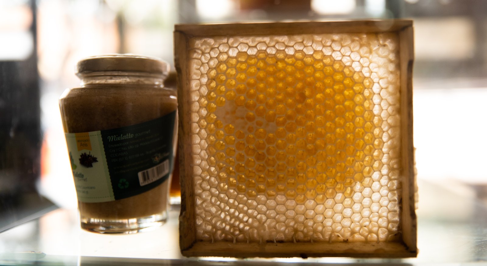 Laboratorio de miel en Santander