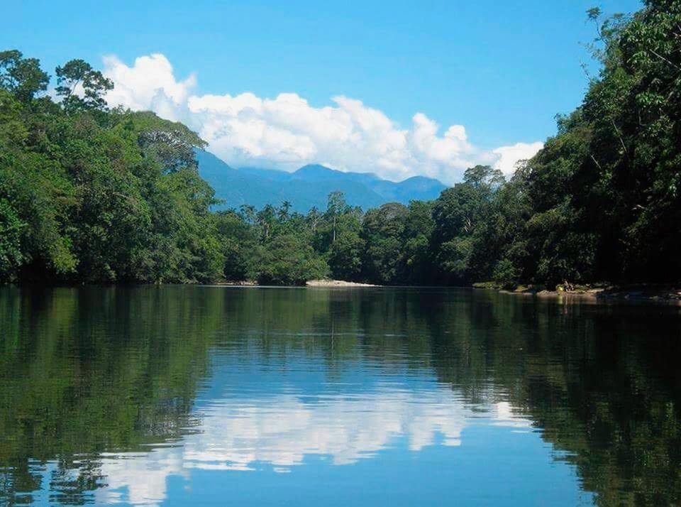 El mercurio está matando a la Amazonía colombiana