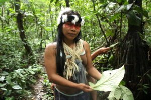 Waoranis-elaboran-mapas-para-salvar-la-selva-del-Ecuador