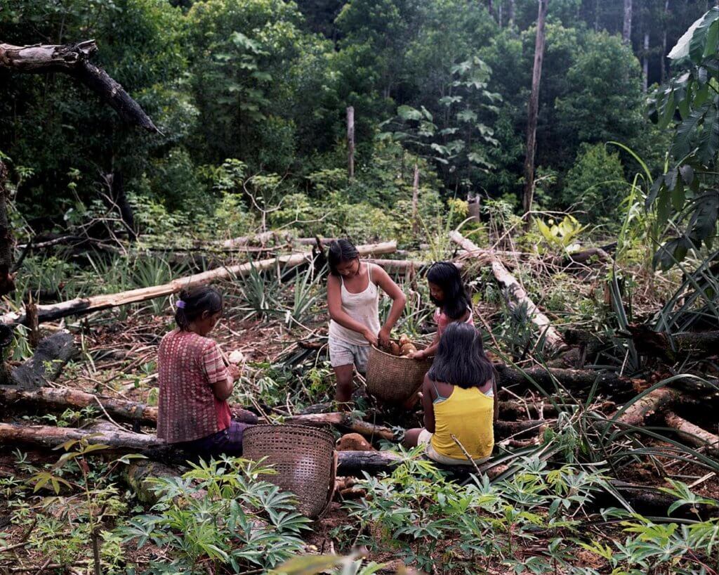 Fundacion Gaia Amazonas_Mujeres en chagra _ Stefan Ruiz