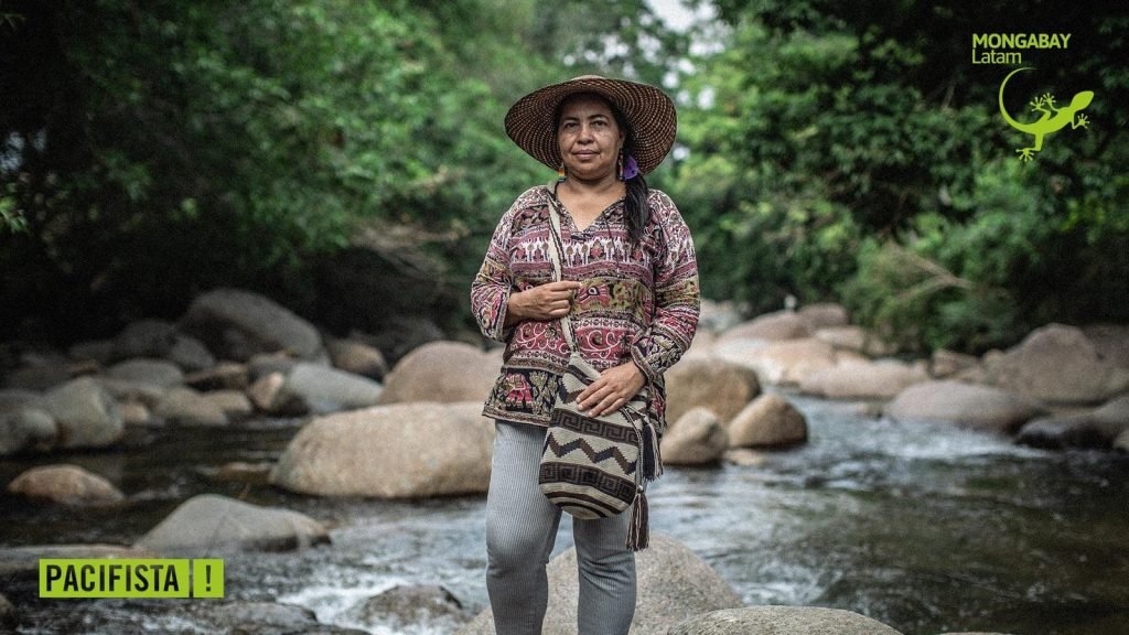“En Caquetá tiene más derechos una vaca que una mujer”: la lucha de las lideresas campesinas de la Amazonía