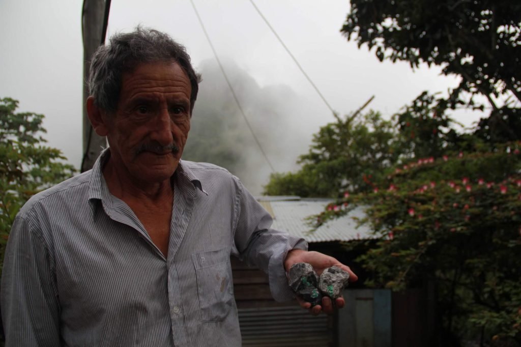 La paz de la guerra verde