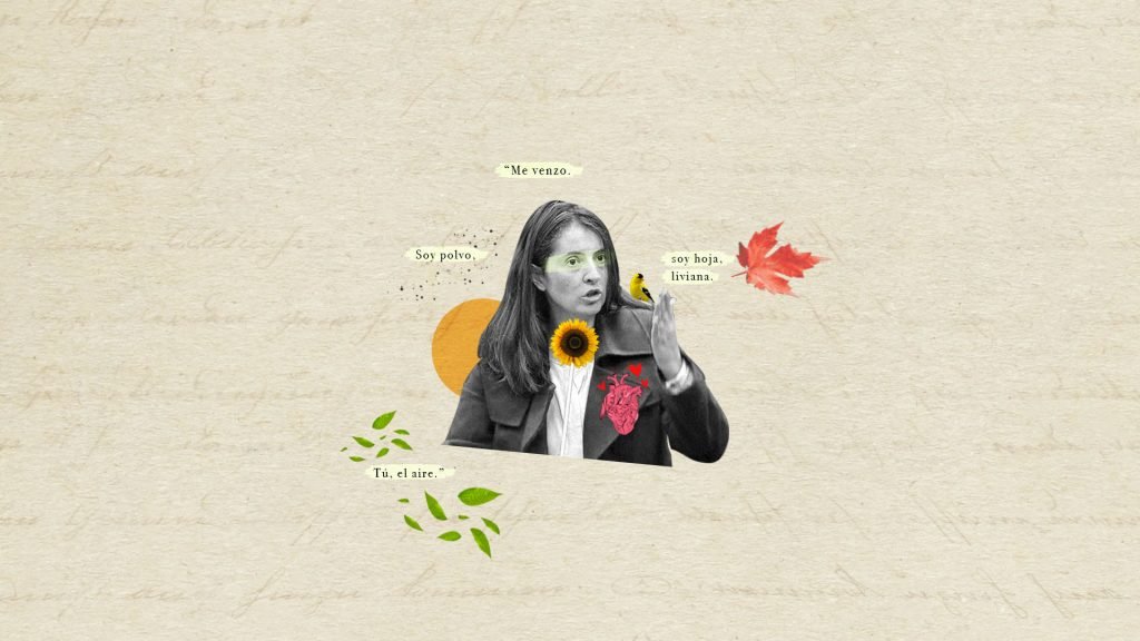 Me sumergí en el blog de poesía de Paloma Valencia
