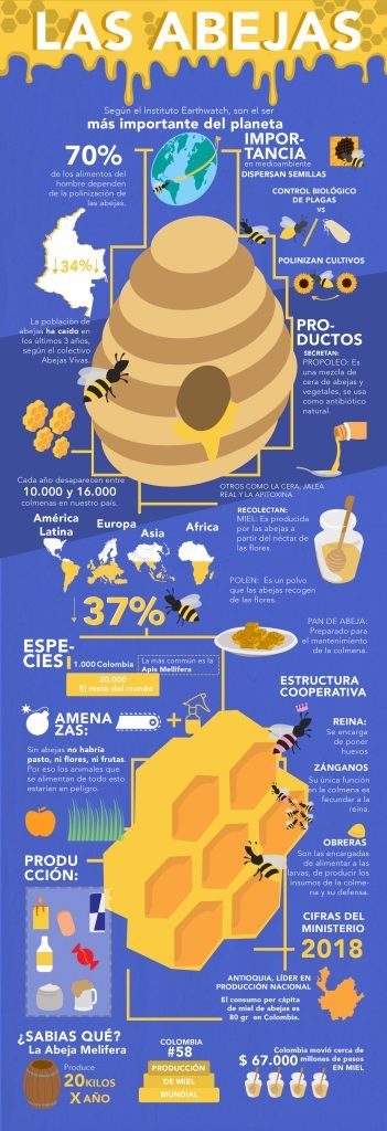 Infografía abejas