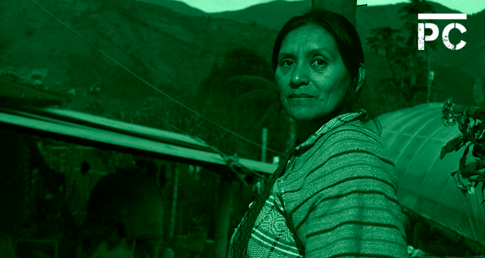 Coca Nasa: cuando la hoja de coca es una opción de emprendimiento