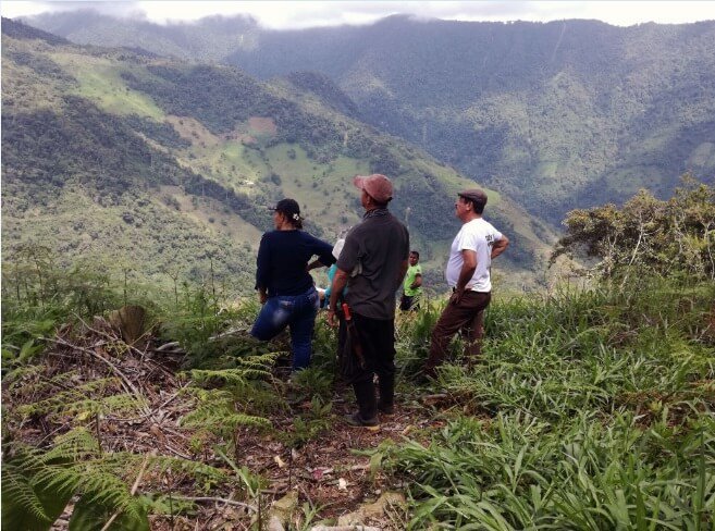 En un año, a las antiguas Farc solo les han aprobado un proyecto productivo