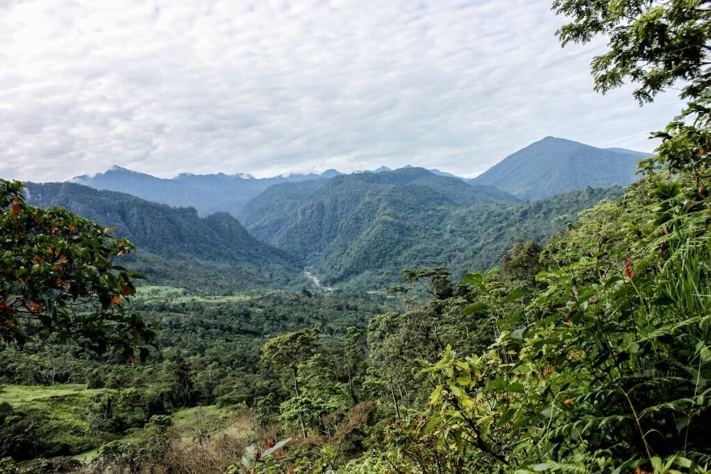 Se fue la guerra y llegó la defensa del medio ambiente: un ejemplo en Santander