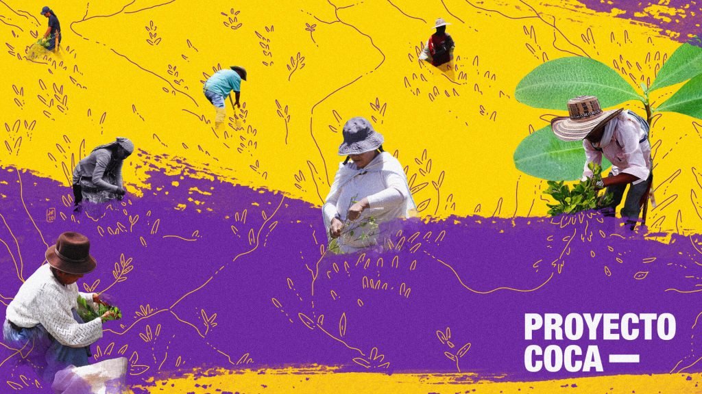 Sin prejuicios ni estigmas: es hora de volver a hablar de familias cocaleras