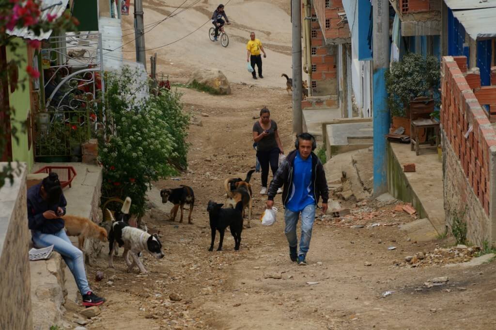 El son de Bellavista