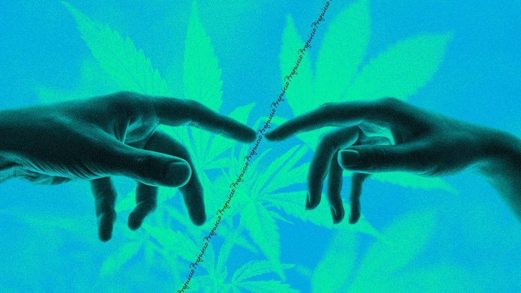 Mientras en EE.UU. avanza la legalización de la marihuana, en Colombia nos volvimos a estancar