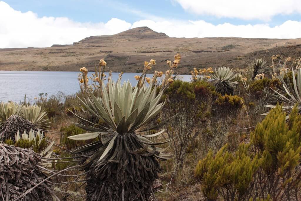 La guerra sucia de Sumapaz