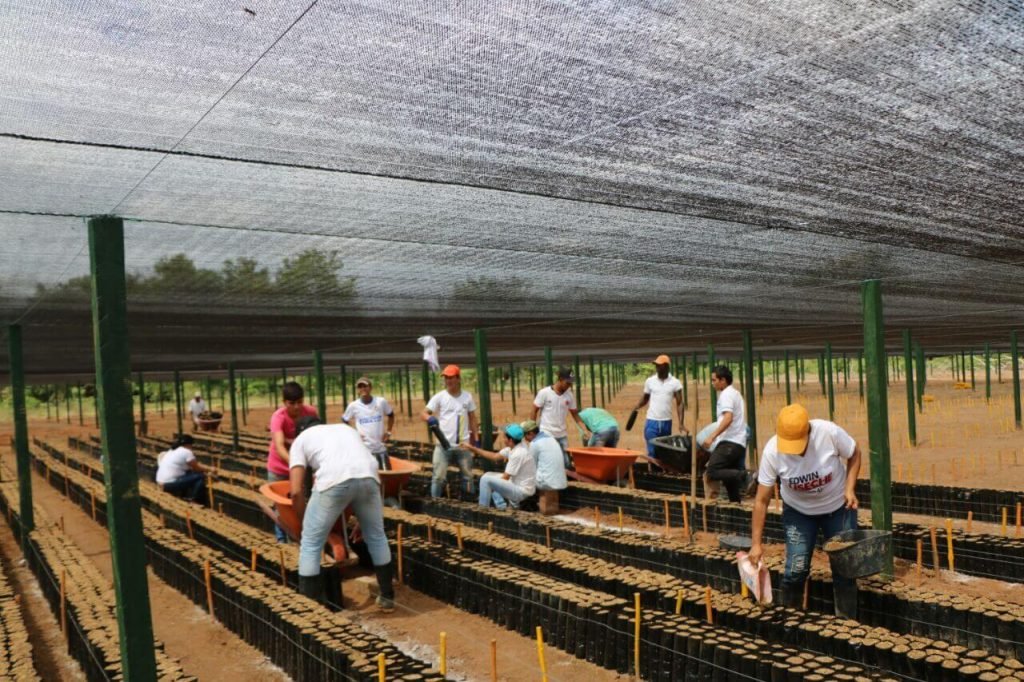 Excocaleros de Guaviare: contentos por el presente, estresados por el futuro