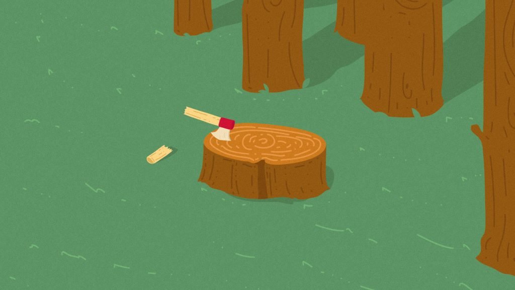 ¿Cuándo podremos vivir de los bosques sin talarlos?