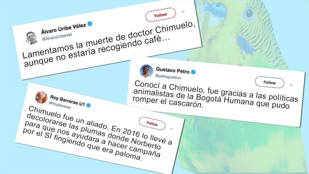 Si Chimuelo hubiera muerto en Colombia…