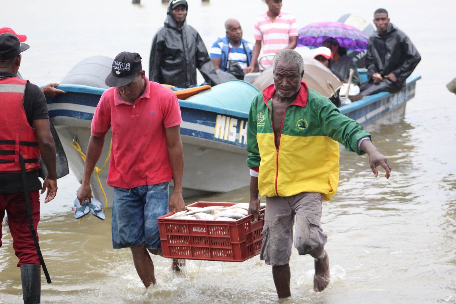 Camarones pesca Pacífico