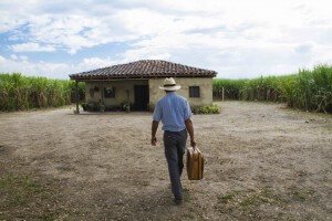 Riopaila, Vives, Peñalosa… Un manual de jugadas para acaparar tierras