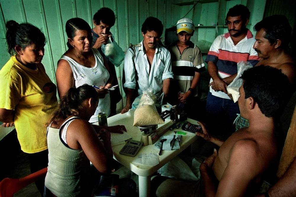 ¿Para garantizar la paz se necesita regular la coca y la cocaína?