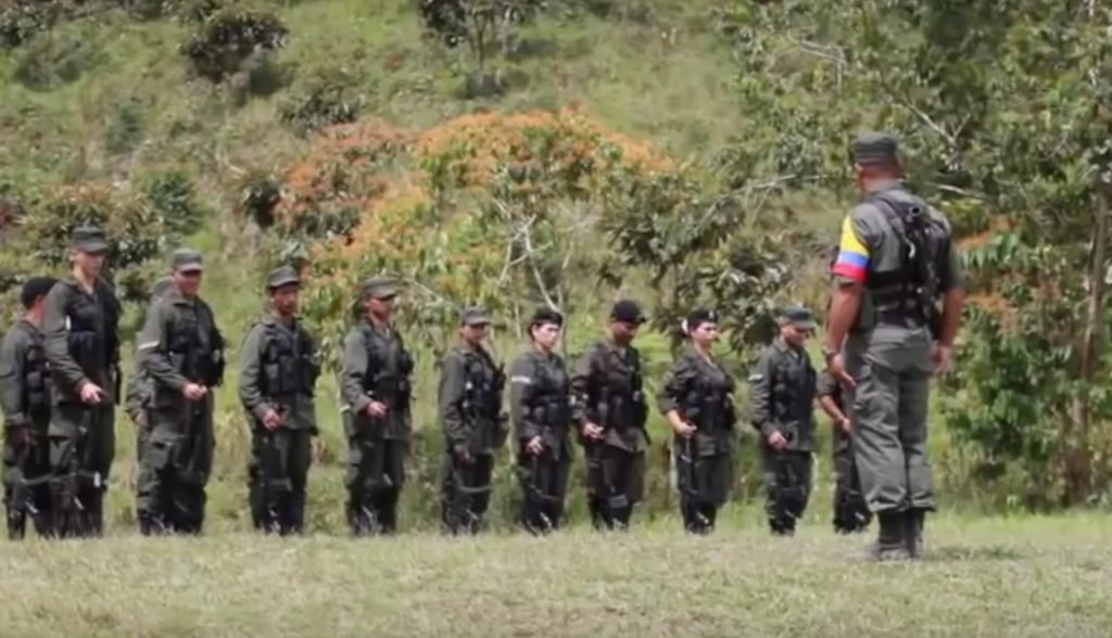 Lo que hay detrás de la disidencia de las Farc en el Guaviare