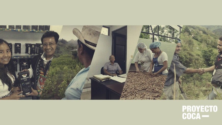 Petro y Duque: campesinos que dejaron la coca y la amapola tienen algo que decirles