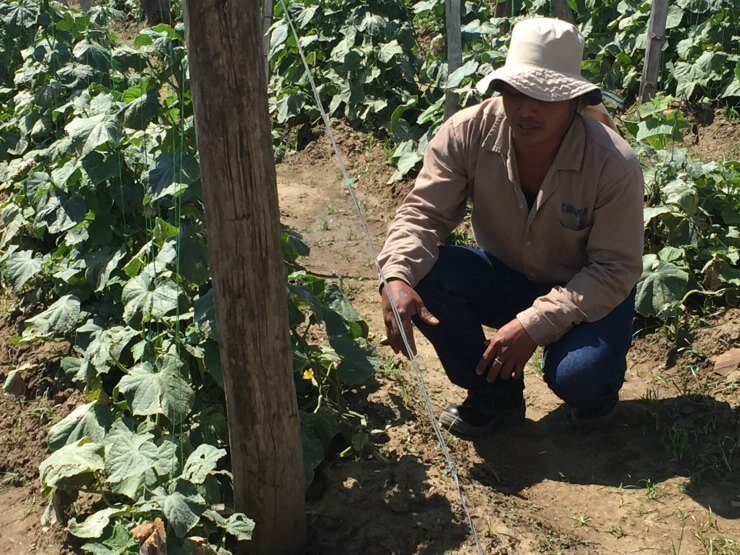 Trabajar los sueños: las lecciones de cuatro desmovilizados