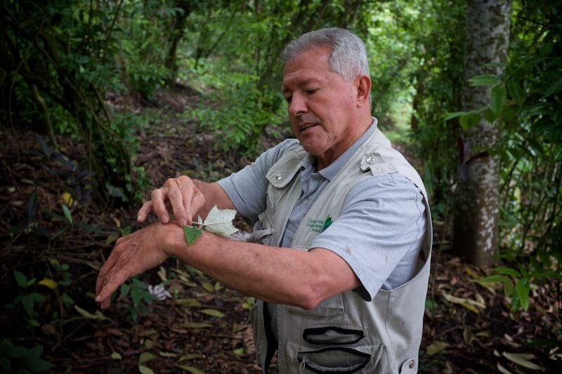 Mogambo, el jardín del edén