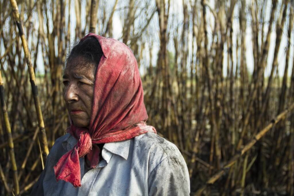 “Una buena película te hace sentir humano, algo valioso en un país de indiferencia”