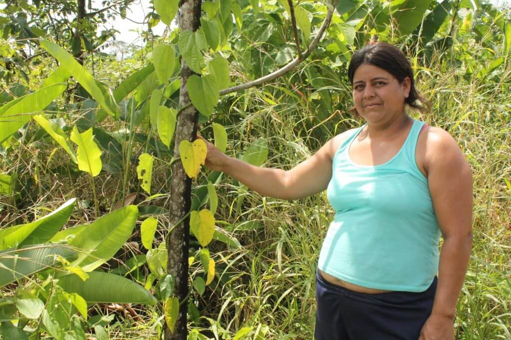 Diario de una cocalera que se está despidiendo de la coca