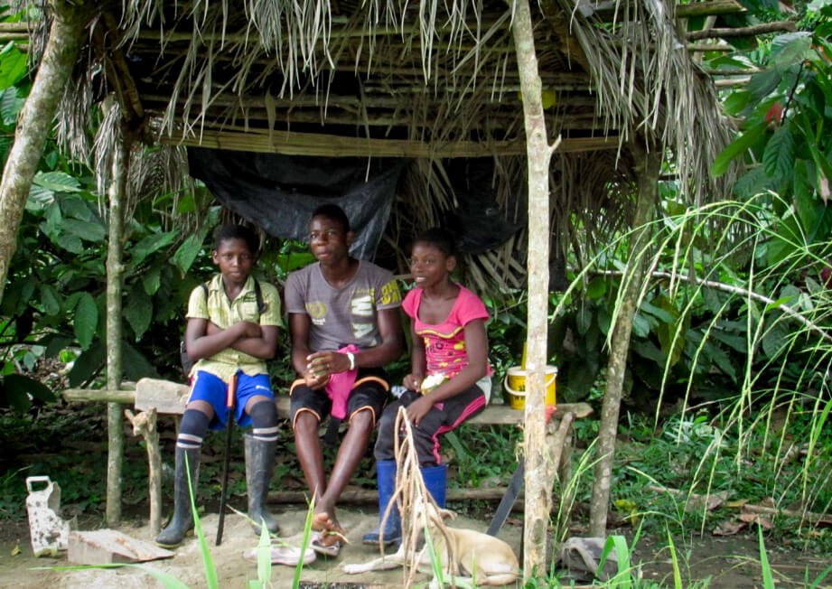 En Tumaco están cambiando coca por cacao y ganaron un premio en París