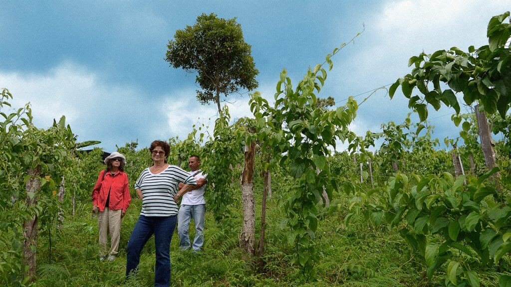 Turismo en zona de exguerrilleros: acompañamos a cuatro extranjeros a Icononzo