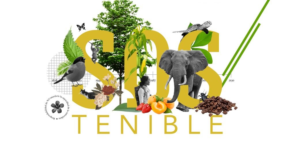 Decir ‘sostenible’ no es suficiente