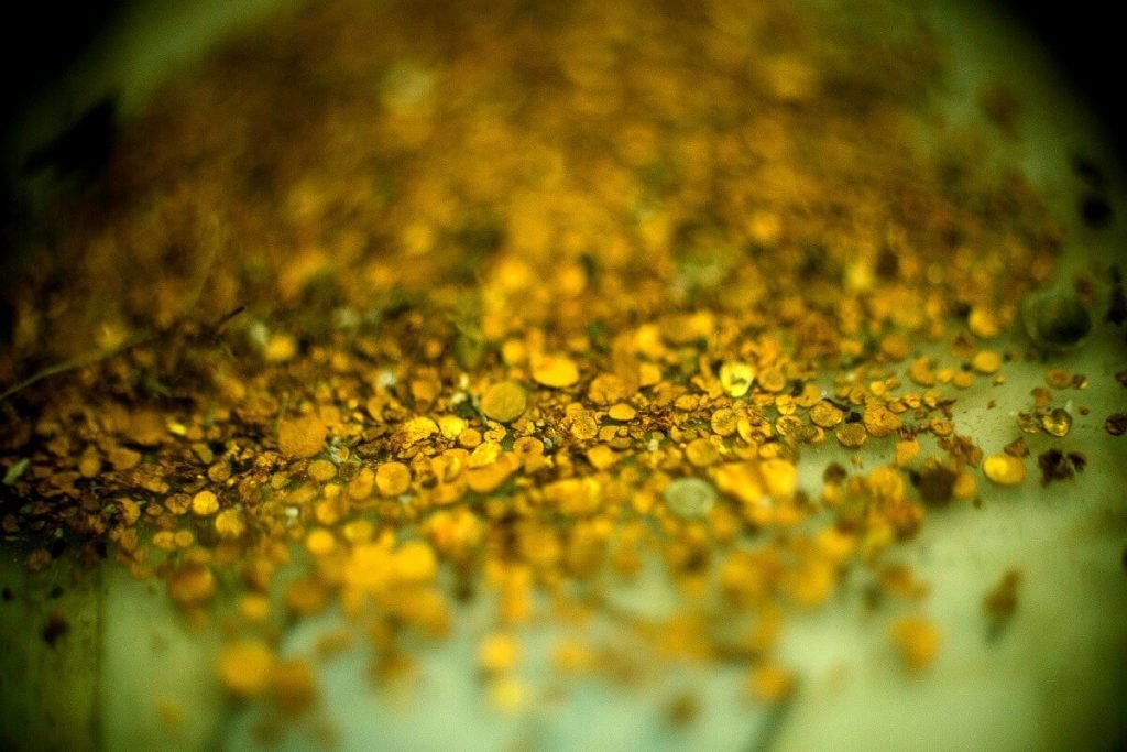 Investigación: ¿De qué color es el oro de Giraldo y Duque Ltda.?