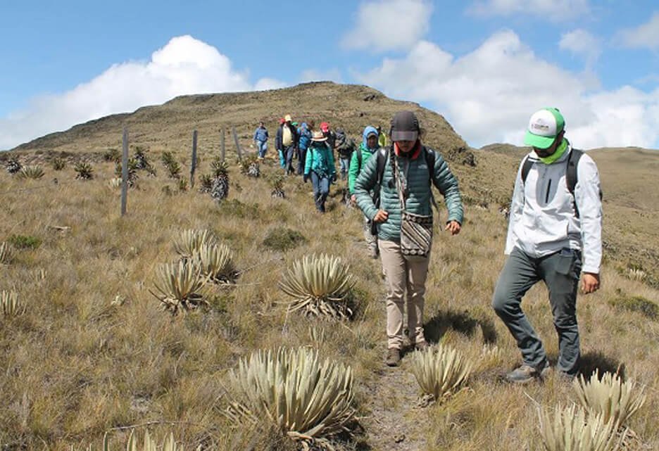 Colombia: en el ‘top 3’ de países peligrosos para ser líder ambiental