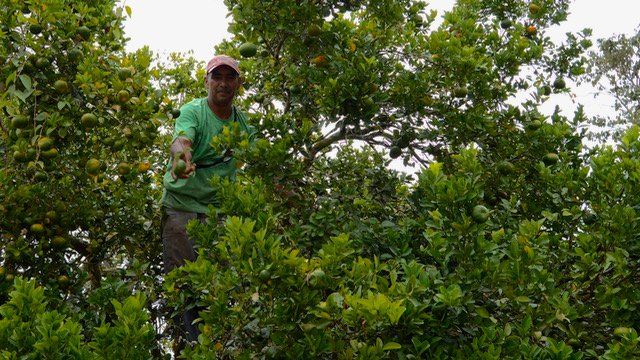 Tejipaz: un laboratorio de paz desconocido en el oriente de Antioquia