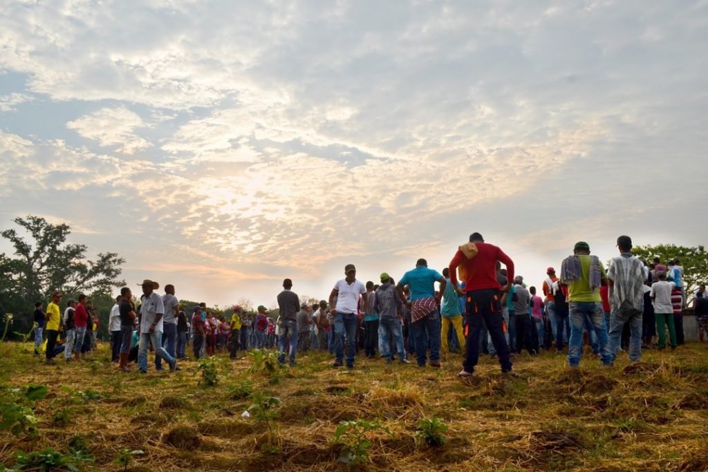 ‘El gobierno y el país nos están dando la espalda’: campesinos del sur de Córdoba