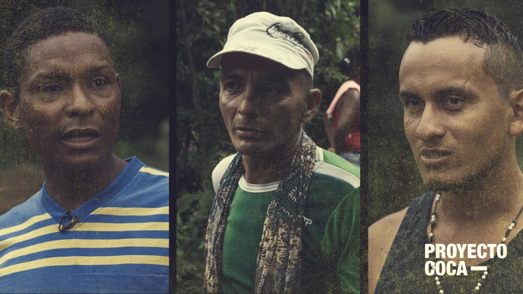 Abandono y temor: esto sienten los campesinos de Tumaco