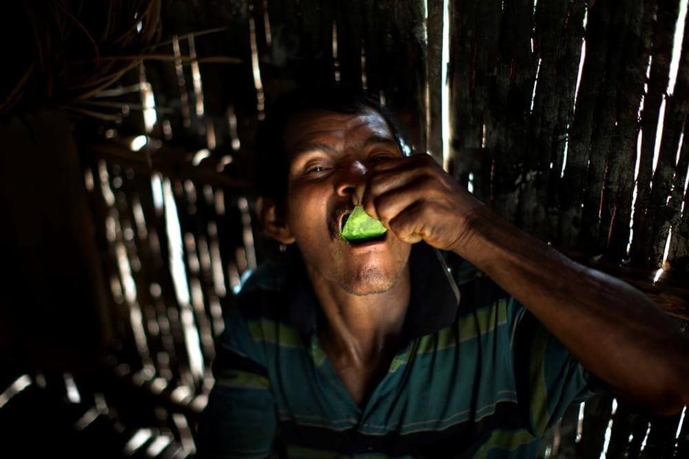 ¿Qué pasaría si regulamos la coca y la cocaína?