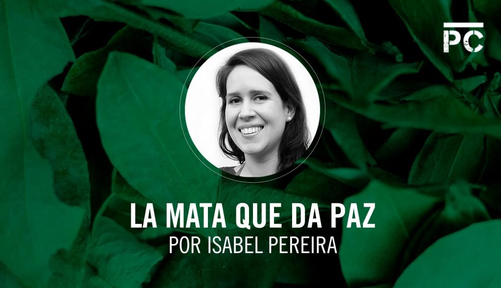 El camino a la paz no es solo arrancar coca