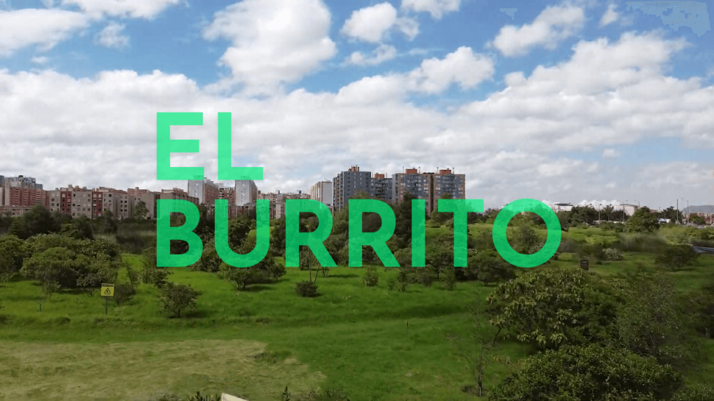 ESPECIAL | EL Burrito