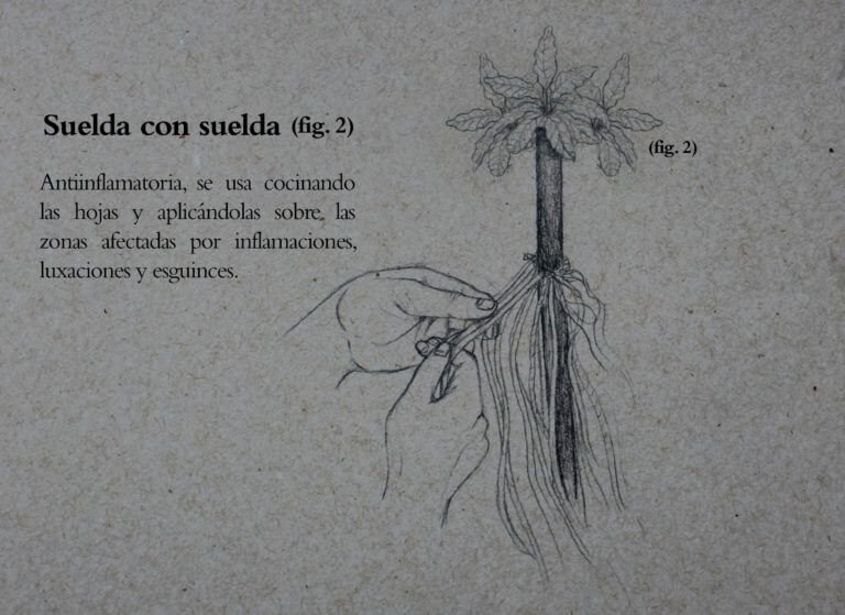 Fotografía