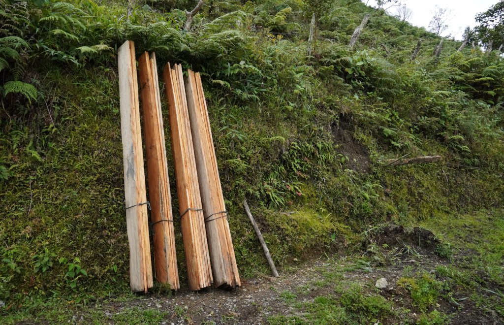 En la vereda Titango, dentro de la Reserva Forestal, algunos de sus habitantes viven de la tala ilegal pues no tienen opciones económicas. Foto: María Fernanda Lizcano.