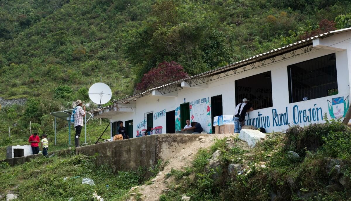 Esta es la propuesta de las comunidades de Briceño para la sustitución de cultivos