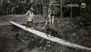 ¿Por qué están matando a los líderes sociales? | Hoy: Urabá