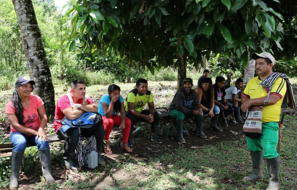Puerto Bello, un caserío que busca dejar la coca atrás