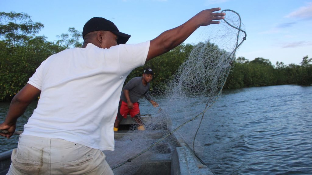 Pescar mucho y ganar poco: el círculo vicioso de la pobreza en el Pacífico colombiano