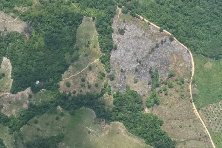 Fuerza de Tarea Vulcano del Ejército